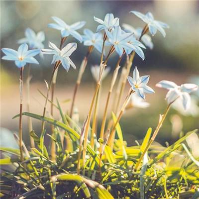 pg娱乐电子游戏下载手机版