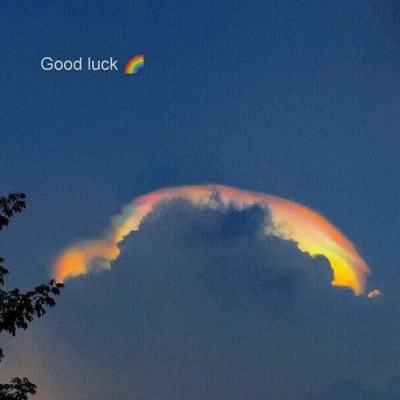 澳门正版资料大全